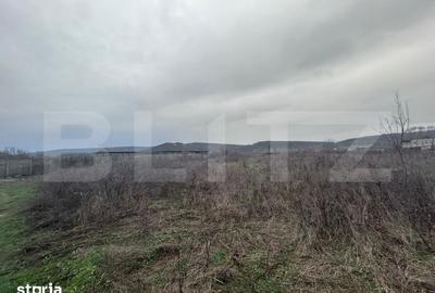 Teren de 10000 mp, în Central
