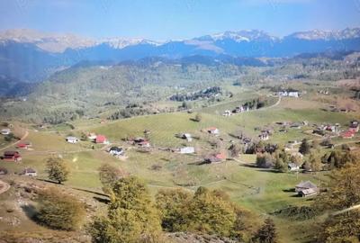 Teren de 1000 mp, în Șirnea