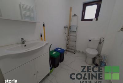 Spațiu comercial, de 32 mp, în Ciurea
