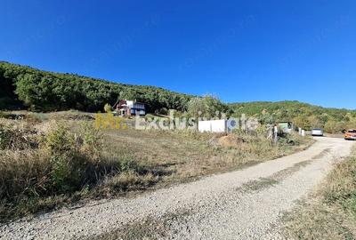 Teren de 2090 mp, în Golești (Ștefănești)
