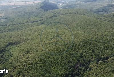 Teren de 38000 mp, în Central