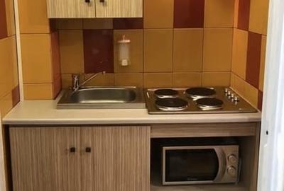 Garsonieră semidecomandată în Timișoara - 1