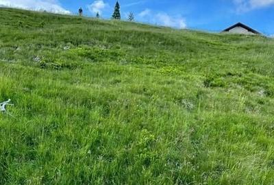 Teren de 1000 mp, în Beclean