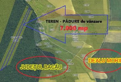 Teren agricol extravilan de 7000 mp, în Dealu Morii - 1