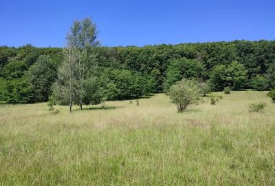 Teren de 1357 mp, în Central