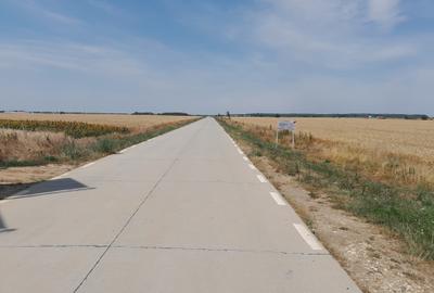 Teren Construcții intravilan de 20000 mp, în Joița - 10