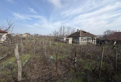 Casă cu 3 camere în Central - 4