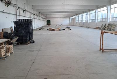 Spațiu comercial, de 5,500 mp, în Someș-Odorhei - 3