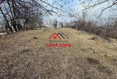 Casă cu Teren 3074 Mp în Cornu - 9