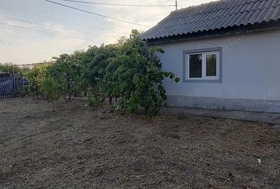 Casă cu 3 camere cu Teren 2080 Mp în Dor Mărunt