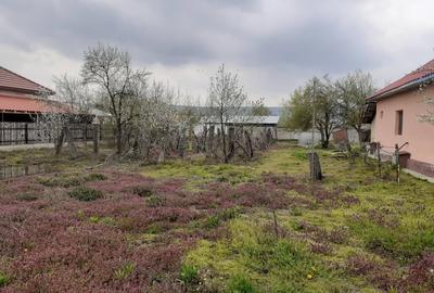 Casă cu 3 camere cu Teren 2500 Mp în Butoiești - 7