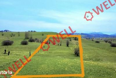 Teren de 6519 mp, în Barcani - 1