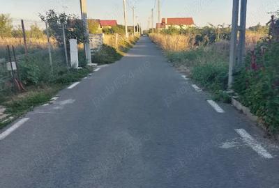 Casă cu 2 camere în Ulmi - 4