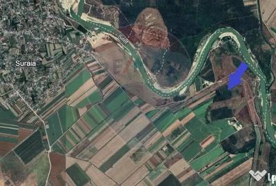 Teren de 80000 mp, în Suraia