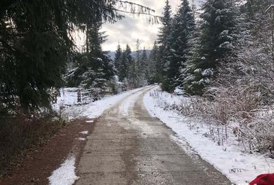 Teren de 6000 mp, în Panaci - 2