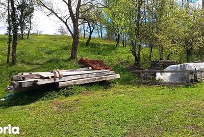 Teren de 5754 mp, în Ohaba Lungă - 7