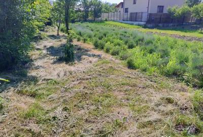 Teren de 870 mp, în Central - 6