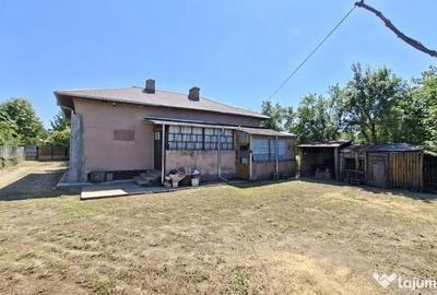 Casă cu 3 camere cu Teren 1667 Mp în Teiu