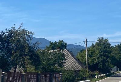 Teren de 11541 mp, în Buhalnița