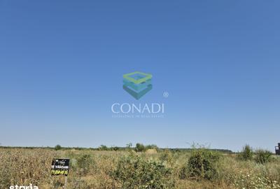 Teren de 10000 mp, în Central