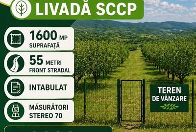 Teren de 1600 mp, în Central - 1