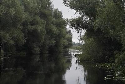 Teren de 2210 mp, în Chilia Veche - 7