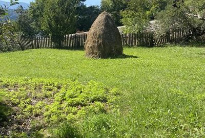 Teren de 11541 mp, în Buhalnița - 1