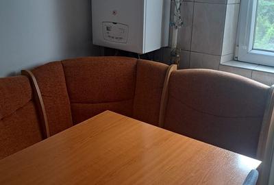 Apartament cu 2 camere semidecomandat în Craiovița Nouă - 5