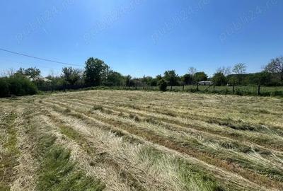Teren de 1424 mp, în Bărcănești - 6