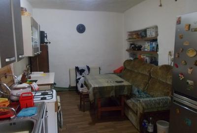 Casă individuală cu 3 camere cu Teren 1906 Mp în Gelu - 4
