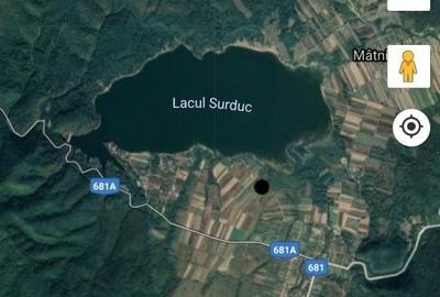 Teren de 11600 mp, în Fârdea - 3