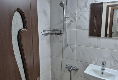 Apartament cu 2 camere decomandat în Valea Rosie