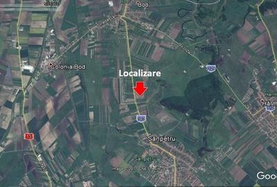 Teren agricol extravilan de 95000 mp, în Sânpetru - 1