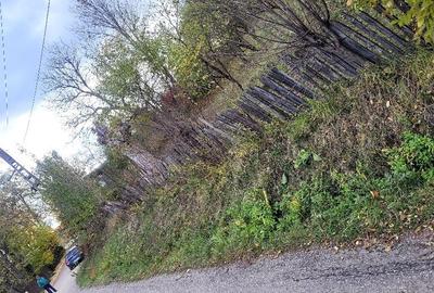 Casă în Drăgăneasa - 5