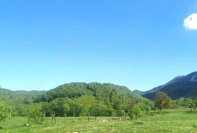 Teren de 25500 mp, în Cheile Râșnoavei - 2
