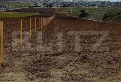 Teren de 4800 mp, în Șcheia