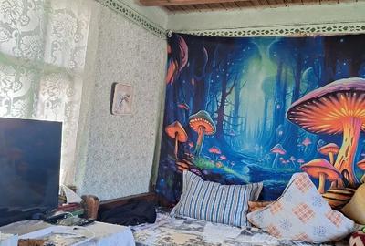 Casă cu 2 camere cu Teren 1471 Mp în Ciolănești