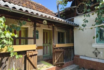 Casă cu 3 camere în Bogați