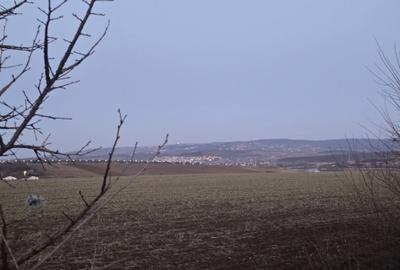 Teren de 487 mp, în Ciurbești - 5
