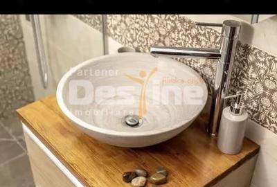 Apartament cu 2 camere decomandat în Dumbrăvița - 4