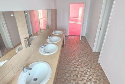 Spațiu comercial, de 370 mp, în Basarab