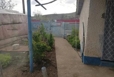 Casă cu 3 camere cu Teren 2500 Mp în Balabancea