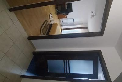 Garsonieră decomandată în Podul de Fier - 1