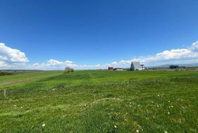 Teren de 13400 mp, în Ilieni