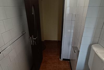Apartament cu 2 camere semidecomandat, mobilat în Piața Unirii - 24