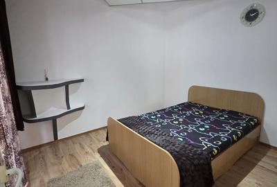 Apartament cu 2 camere în Banat - 2