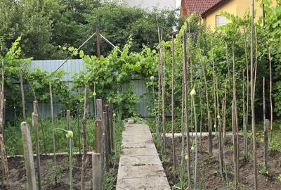 Casă cu 4 camere în Calea Dumbrăvii