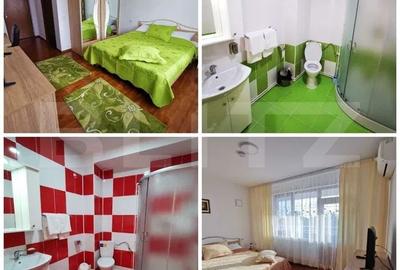 Spațiu comercial, de 458 mp, în Goicea - 6