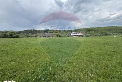 Casă cu 4 camere în Topa Mică - 20