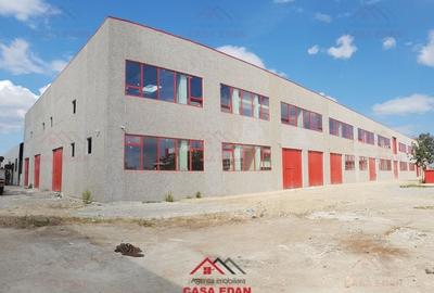 Spațiu industrial, de 13,000 mp, în Băicoi